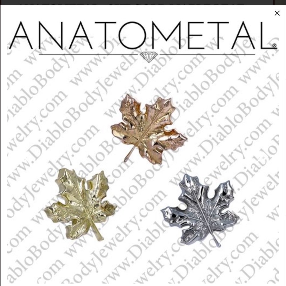 Rose gold anatometal threadless earring